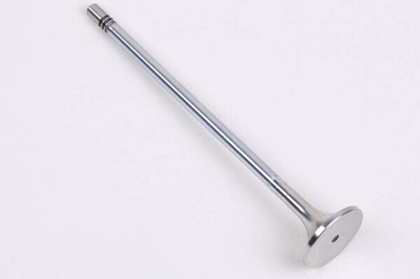 EXHAUST VALVE / 3842972, 3817672, 22686466, 20564019, 20464020