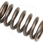 VALVE SPRING / 861701
