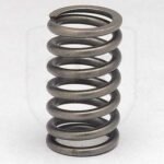 VALVE SPRING / 465233