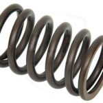 VALVE SPRING / 1543870